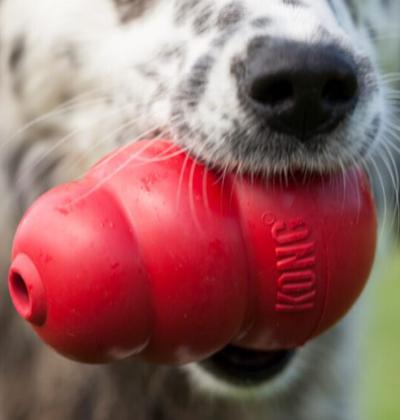 KONG Toys (Size XXL)
